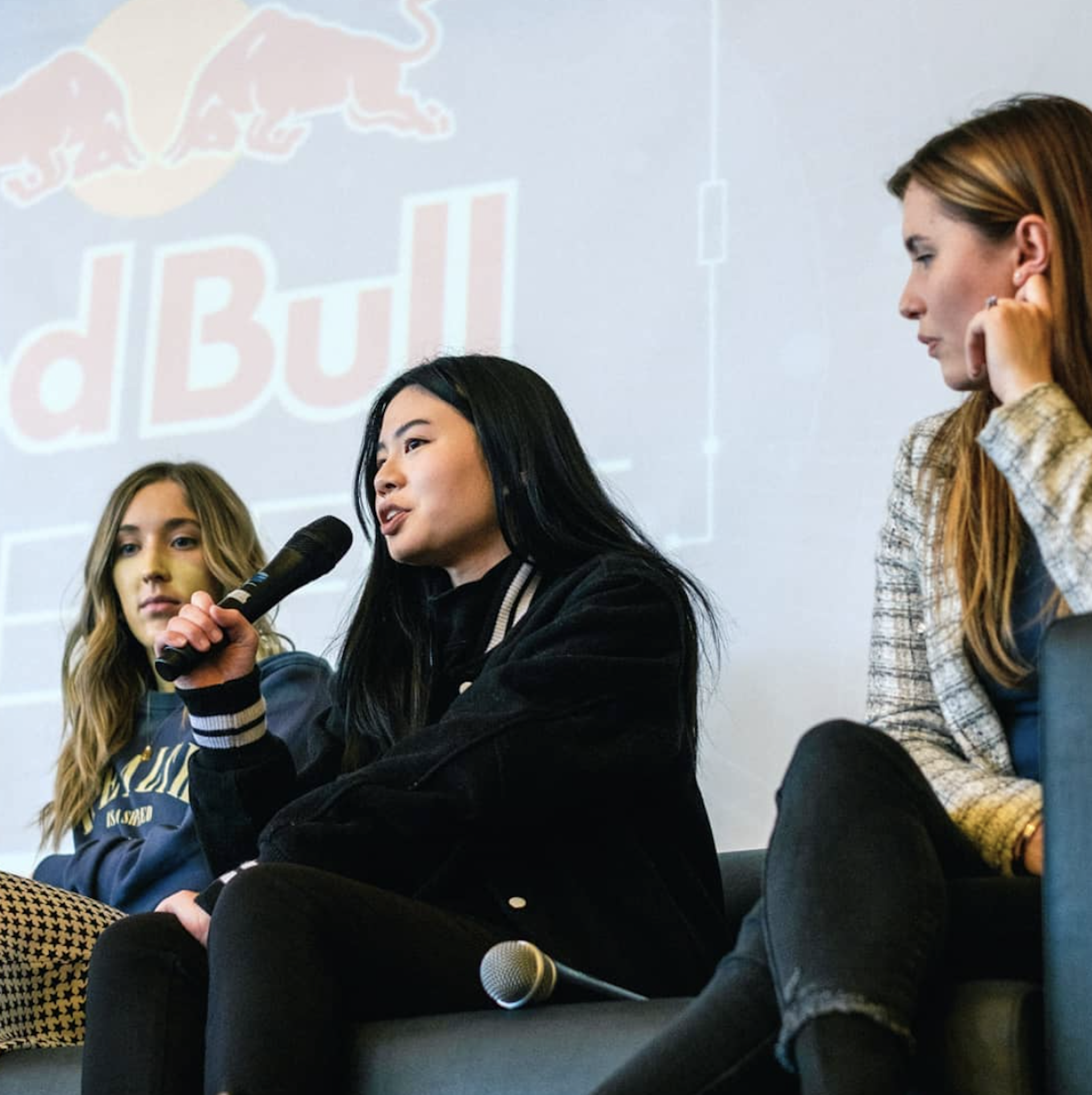 red bull panel, wellington